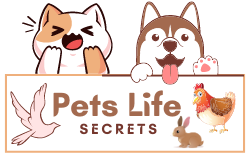 Pets Life Secrets logo