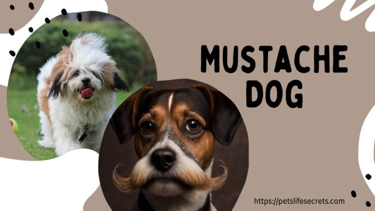 mustache dog