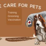 true care for pets