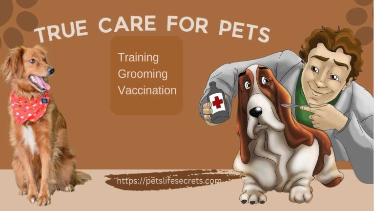 true care for pets