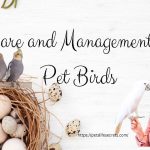 Care and Management of Pet Birds