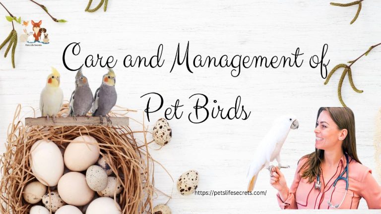 Care and Management of Pet Birds