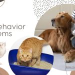 Cat Behavior Problems