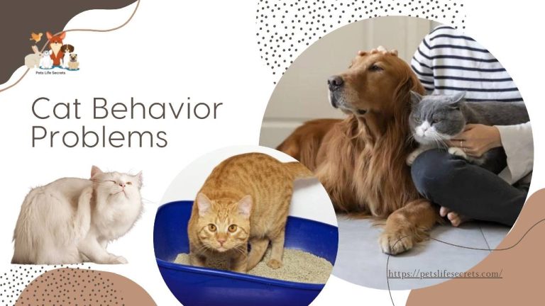 Cat Behavior Problems