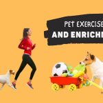 Pet Exercise and Enrichment