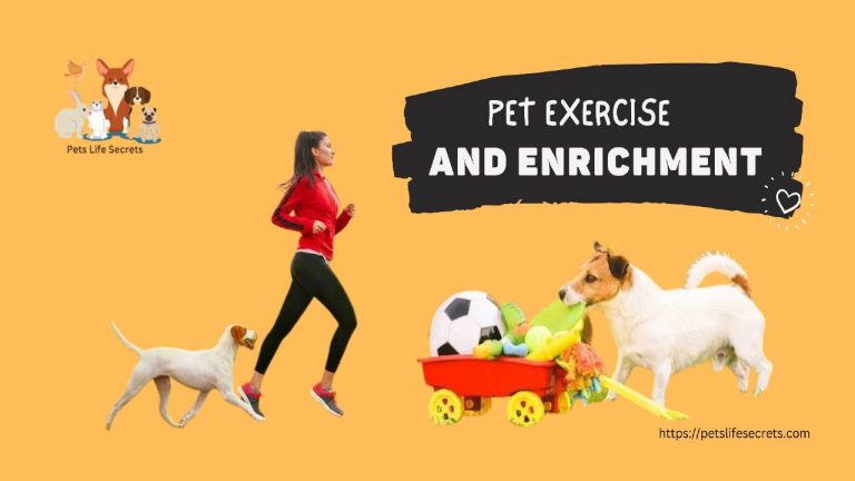 Pet Exercise and Enrichment