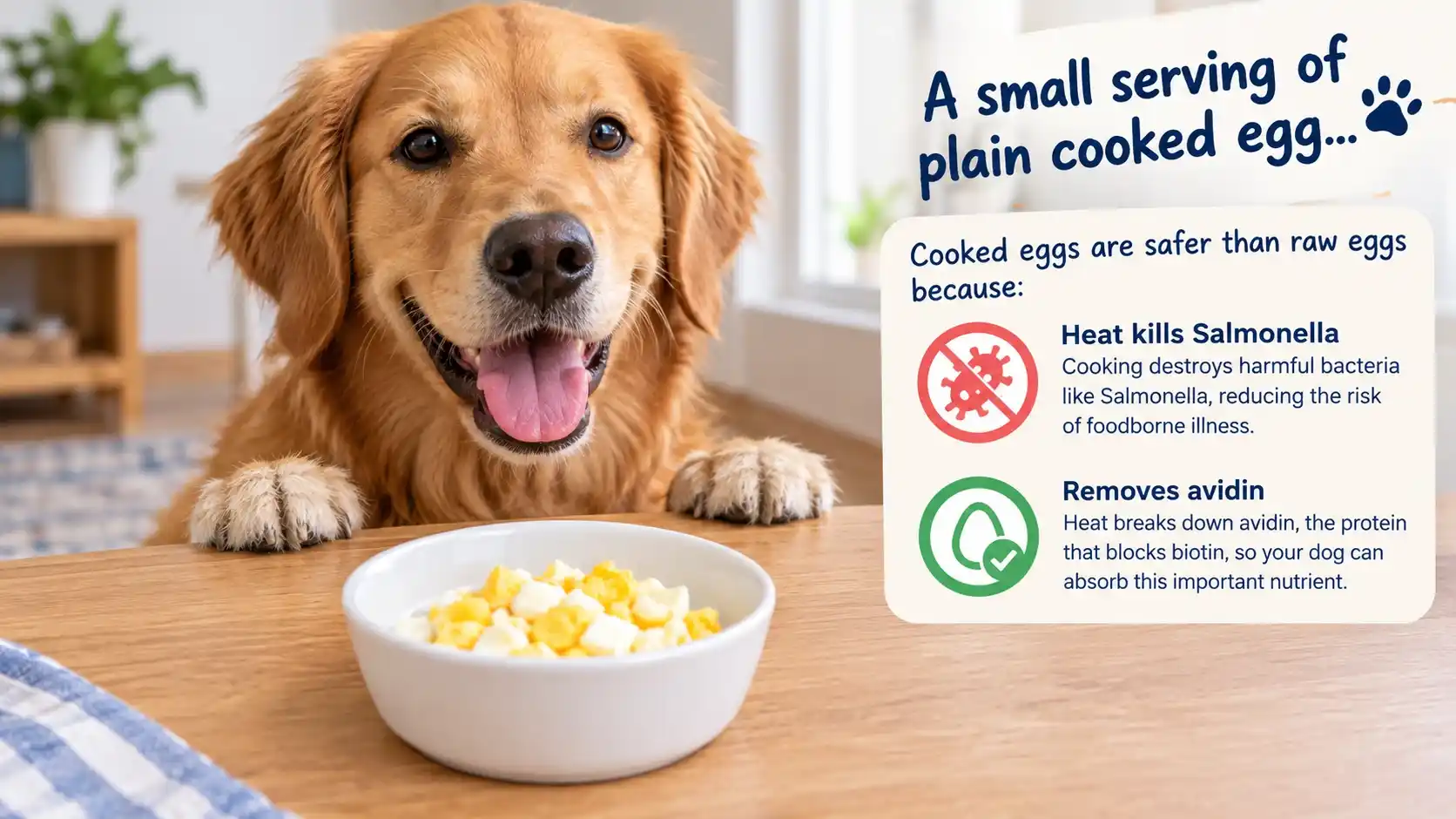 Golden retriever sitting beside a bowl of chopped cooked eggs on a kitchen floor